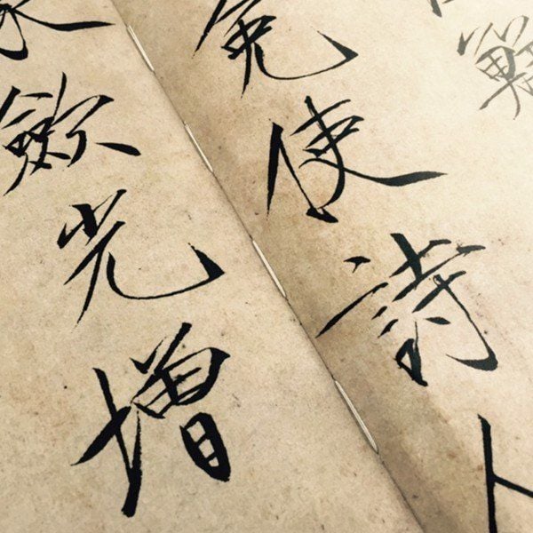 Sấu Kim Thể - Tống Huy Tông Mặc Tích