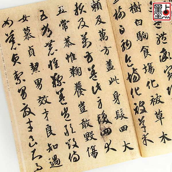 Trí Vĩnh chân thảo thư thiên tự văn