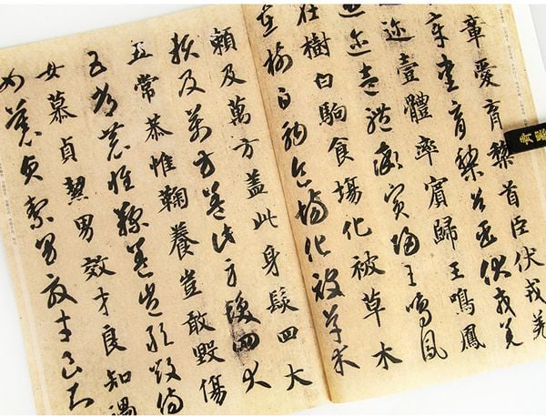 Trí Vĩnh chân thảo thư thiên tự văn