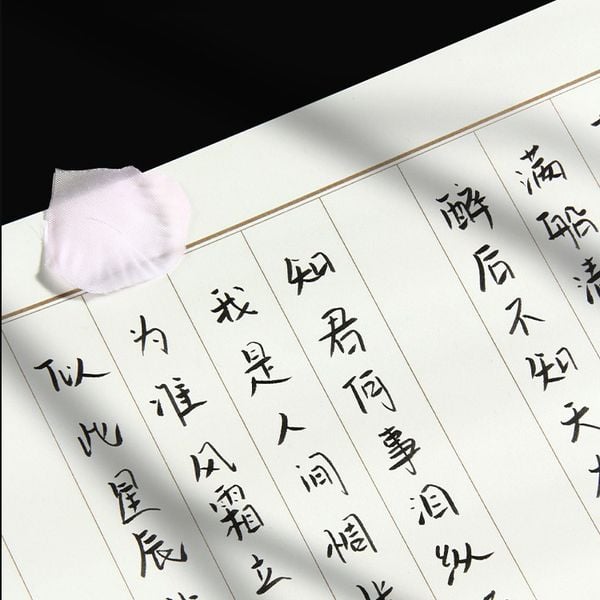 Vở viết bút sắt Tô Thiết