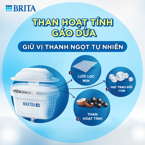 TÌM HIỂU VỊ NGỌT TỰ NHIÊN TRONG NƯỚC SAU KHI LỌC VỚI BÌNH LỌC NƯỚC BRITA