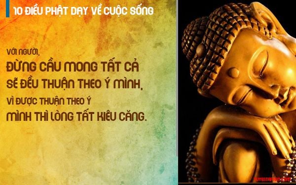 10 Điều Phật Dạy Về Cuộc Sống