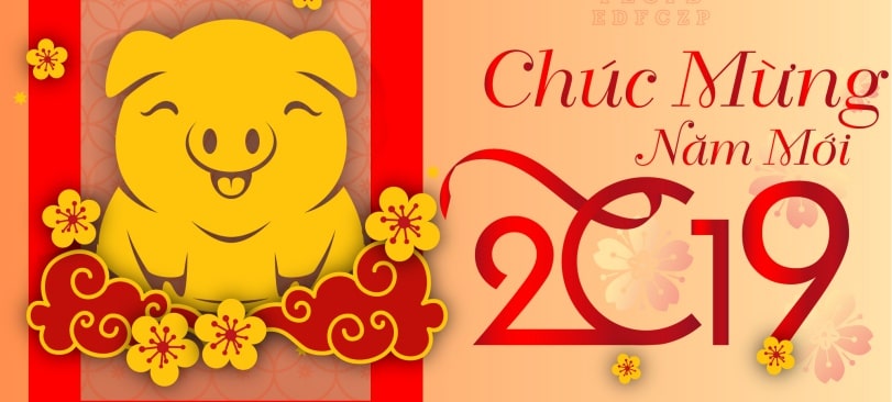 CHÚC MỪNG NĂM MỚI 2019 - XUÂN KỶ HỢI !