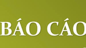 BÁO CÁO TÌNH HÌNH QUẢN TRỊ CÔNG TY NĂM 2024