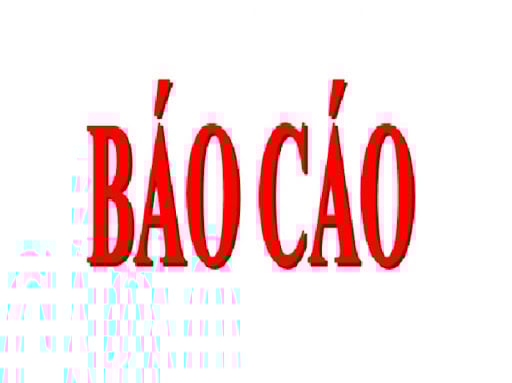 Báo cáo tài chính Quý 1 năm 2025