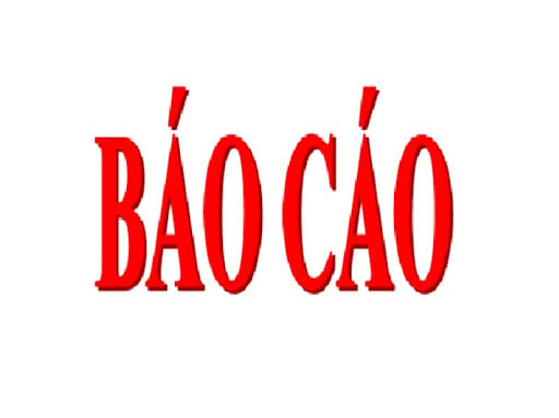 Báo cáo tình hình quản trị công ty 06 tháng năm 2025
