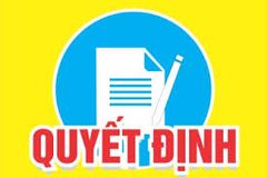 Quyết định v.v Thành lập Chi nhánh Đà Nẵng