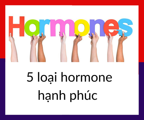 5 loại hormone hạnh phúc và cách làm tăng chúng một cách tự nhiên| Wellbeing