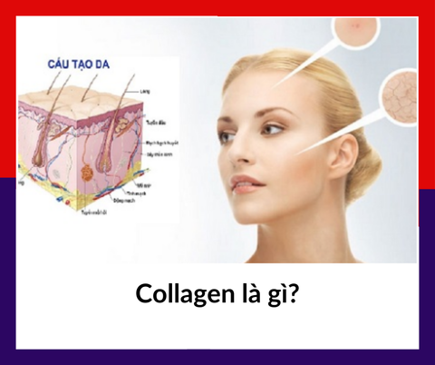 Collagen là gì| Wellbeing