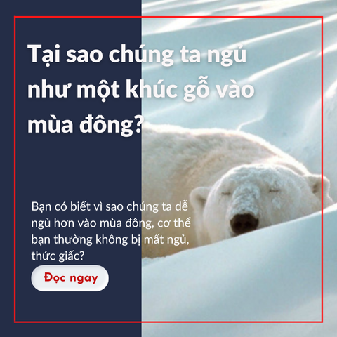 Tại sao chúng ta ngủ như một khúc gỗ vào mùa đông và mất ngủ vào mùa hè?