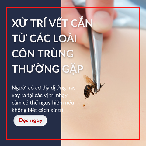 XỬ TRÍ VẾT CẮN TỪ CÁC LOÀI CÔN TRÙNG THƯỜNG GẶP