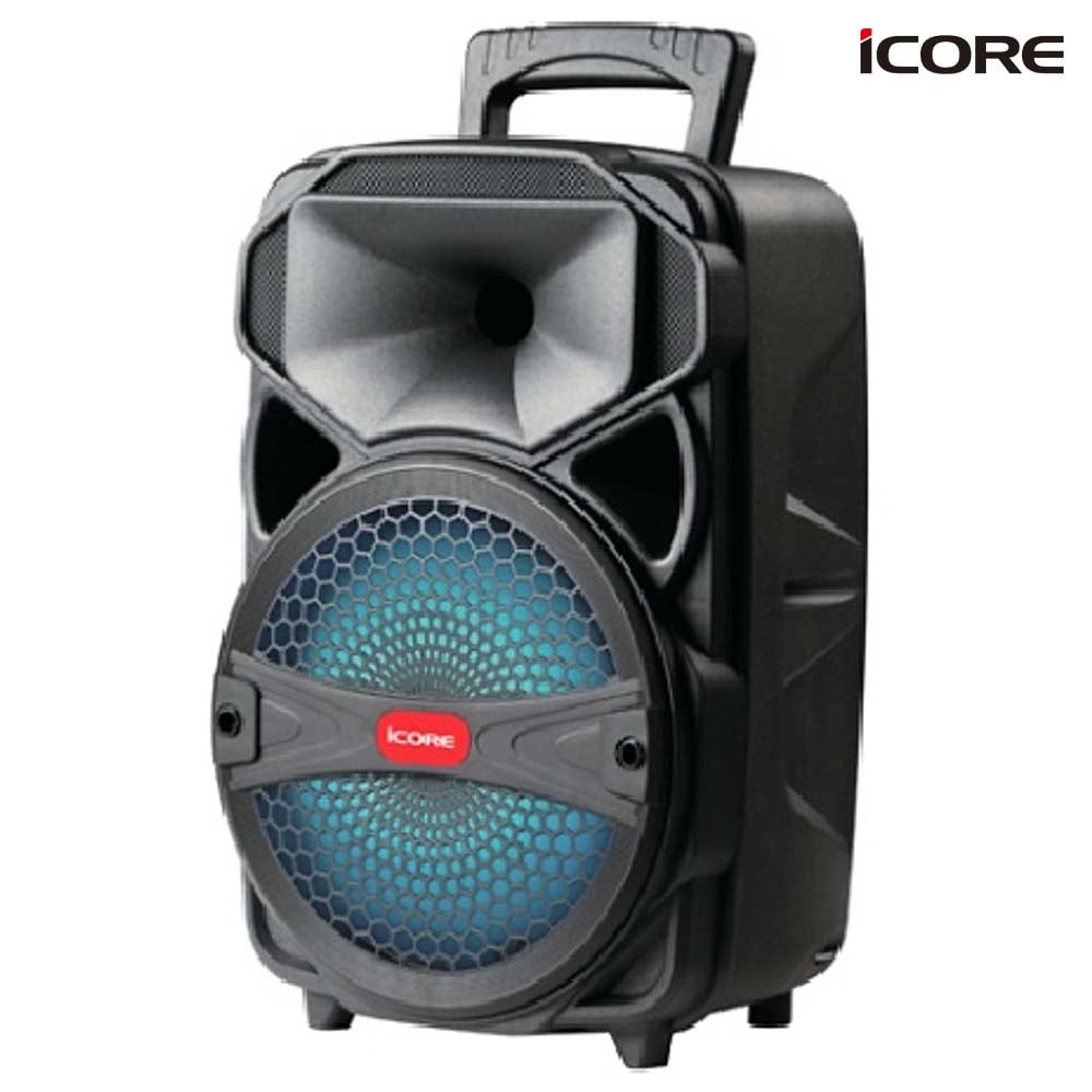 Hướng dẫn sử dụng loa Bluetooth kèm Micro iCore i-99