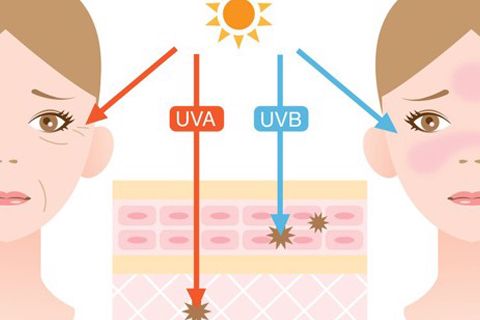 Ảnh hưởng của lão hóa từ tia cực tím