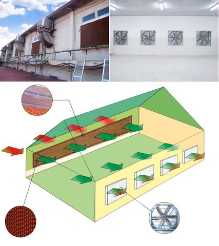 Thiết kế, thi công hệ thống thông gió, làm mát nhà xưởng công nghiệp tại Ninh Bình