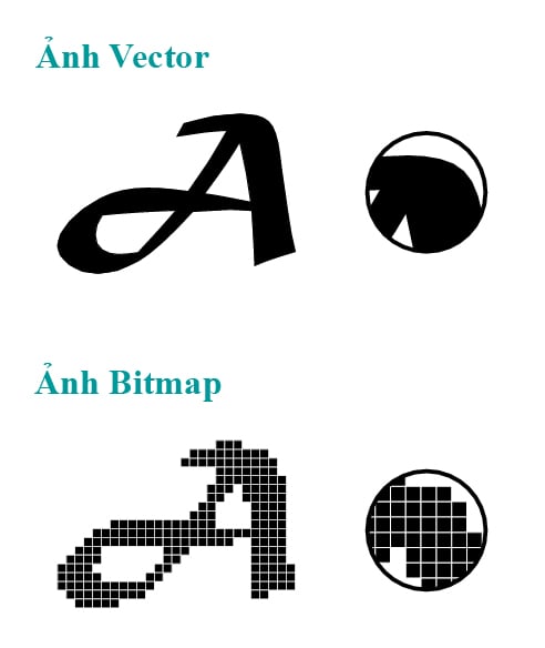 Ảnh-bitmap-là-gì-Ảnh-vector-là-gì