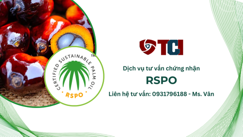 Sản xuất dầu cọ bền vững với chứng chỉ RSPO