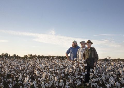 chứng nhận BCI - Thực hiện Better Cotton bảo vệ tính bền vững trong sản xuất