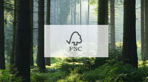 Chứng chỉ quản lý rừng FSC ®