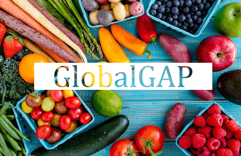 Lợi ích của doanh nghiệp và người tiêu dùng khi đạt chứng nhận tiêu chuẩn GlobalGap