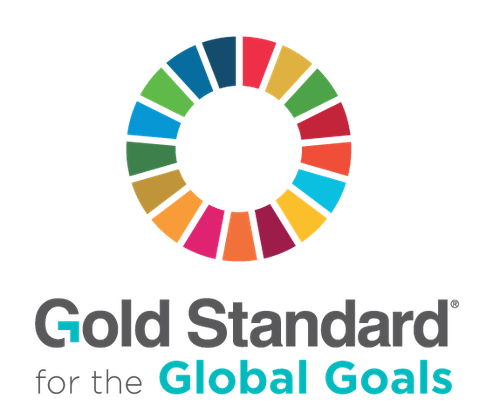 Tiêu chuẩn vàng (GS) - Gold Standard (GS)