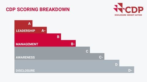 Xác minh nước & carbon CDP - Xác minh tiết lộ carbon - CDP Water & Carbon Verification – Carbon Disclosure Verification