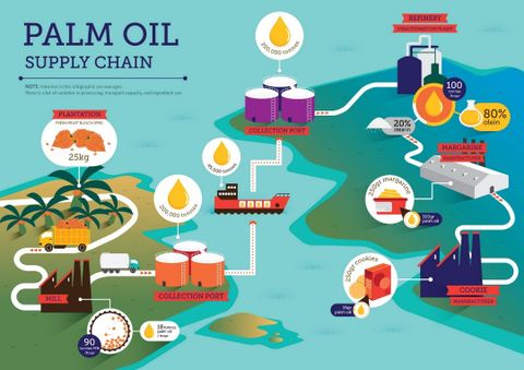 Tại sao cần được chứng nhận RSPO?