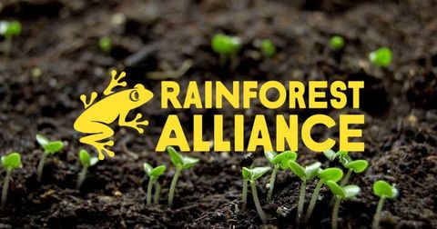Tiêu chuẩn RFA là gì? Tư vấn, chứng nhận Rainforest Alliance