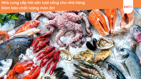 Nhà Cung Cấp Hải Sản Tươi Sống Cho Nhà Hàng – Đảm Bảo Chất Lượng Món Ăn