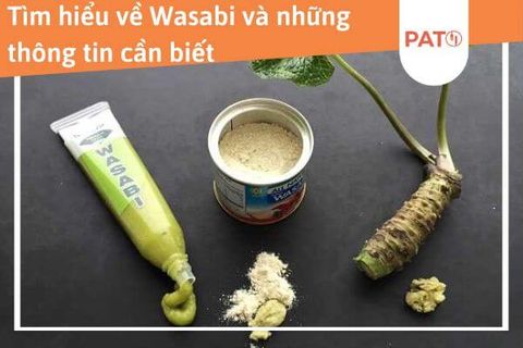 Wasabi khác gì với mù tạt? Cách phân biệt Wasabi giả?