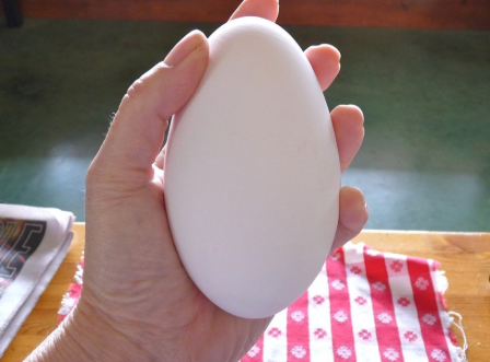 Bà bầu nên ăn Trứng Ngỗng vào tháng thứ mấy?