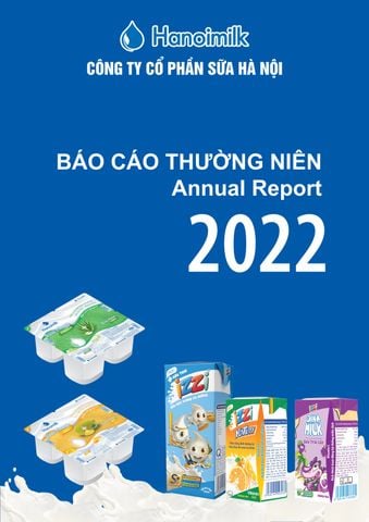 BÁO CÁO THƯỜNG NIÊN ANNUAL REPORT 2022