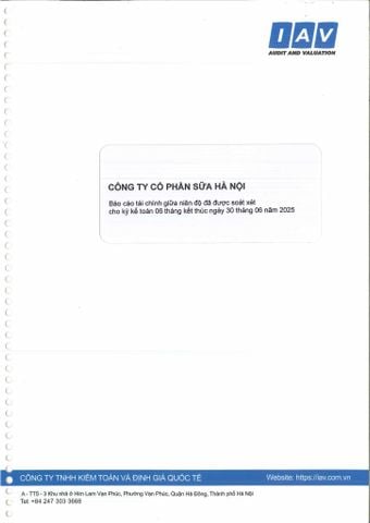 BÁO CÁO TÀI CHÍNH GIỮA NIÊN ĐỘ ĐÃ ĐƯỢC SOÁT XÉT CHO KỲ KẾ TOÁN 06 THÁNG KẾT THÚC NGÀY 30 THÁNG 06 NĂM 2025