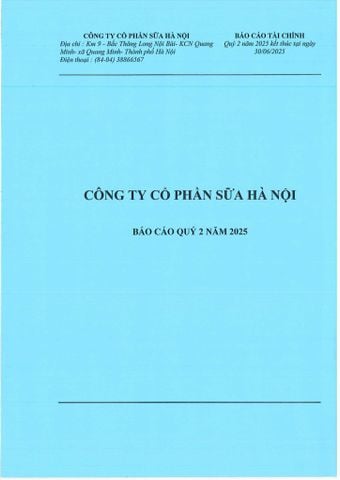 BÁO CÁO TÀI CHÍNH QUÝ 2 NĂM 2025 KẾT THÚC TẠI NGÀY 30/06/2025