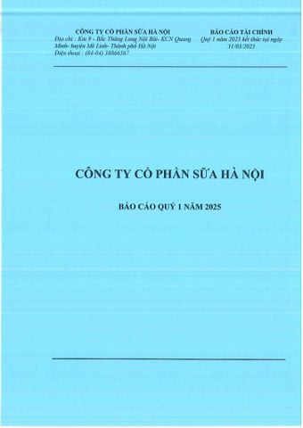 BÁO CÁO TÀI CHÍNH QUÝ 1 NĂM 2025 KẾT THÚC TẠI NGÀY 31/03/2025