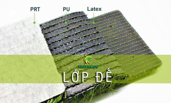 Lớp đế cỏ