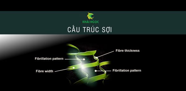 Cấu trúc sợi