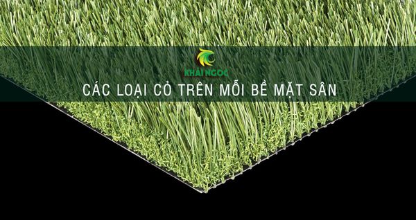 Bề mặt sân