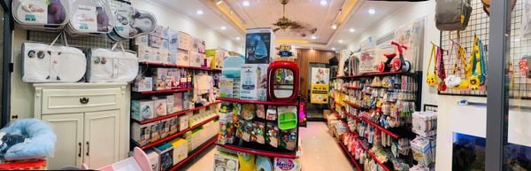 Shop Dollar Baby	525/1A Sư Vạn Hạnh (nối dài), Phường 12, Quận 10, Tp.Hcm	0936 685338