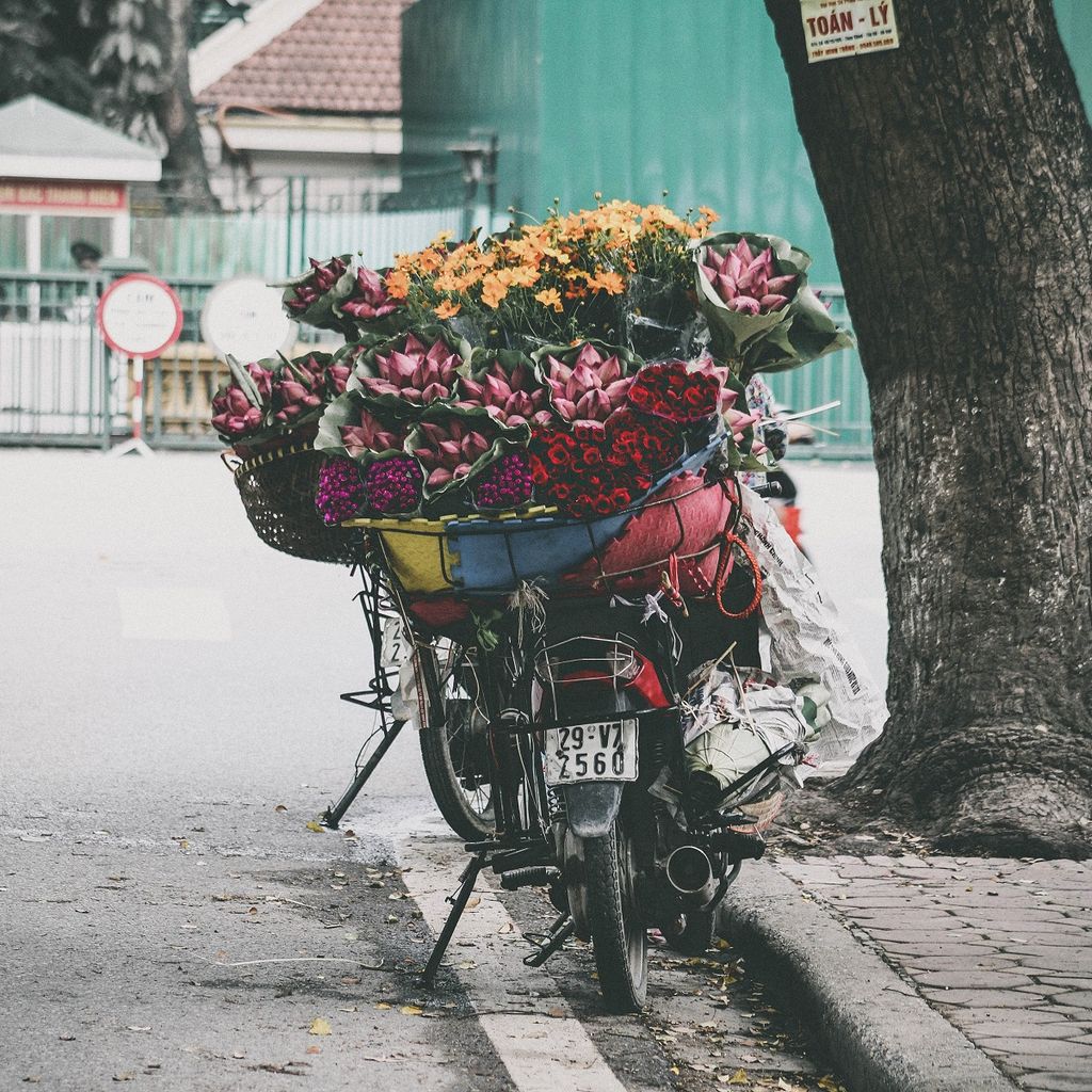 Một thoáng qua...