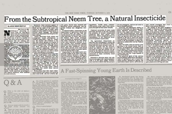 Nói về cây Neem, một loại thuốc trừ sâu tự nhiên