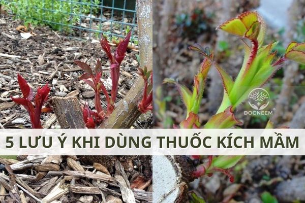 Tất cả bài viết - tagged \