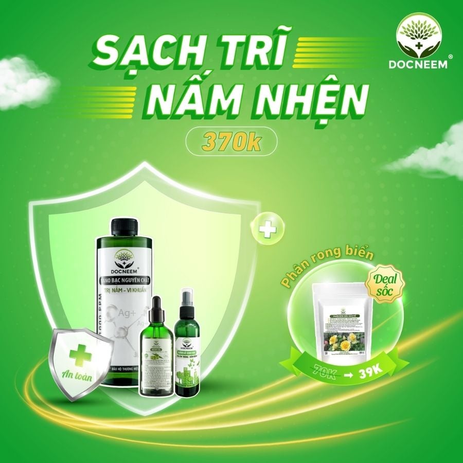 sach-tri-nam-nhen