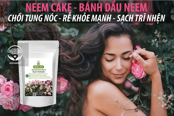 Dầu Neem và Bánh dầu Neem trị sâu bệnh & cải tạo đất, tiêu diệt tuyến trùng