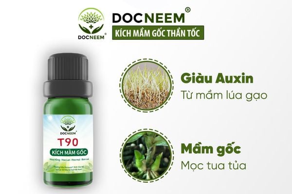 2-thuoc kich mam t90 nguon goc thien nhien-docneem