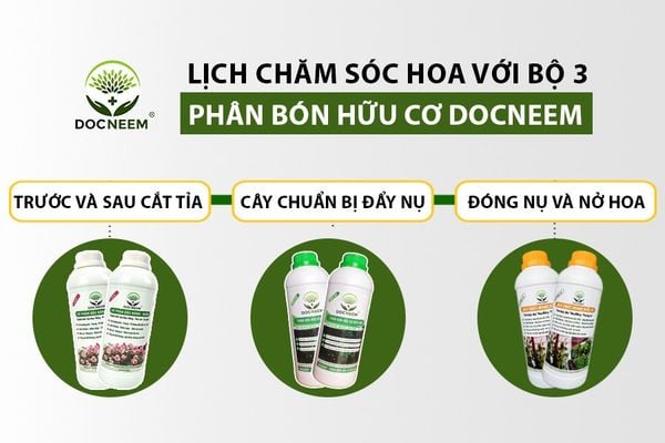 3-lich-bon-bo-3-phan-huu-co-docneem