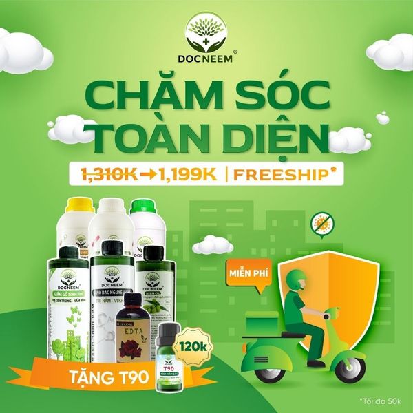 4-combo cham soc toan dien