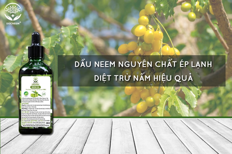 Dầu neem nguyên chất ép lạnh Docneem