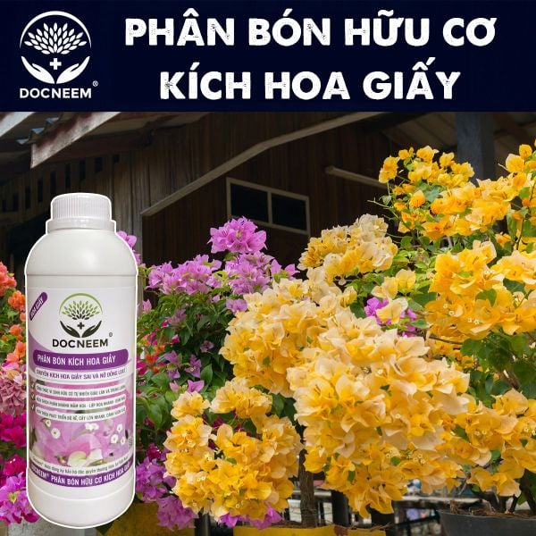 phan-bon-kich-hoa-giay