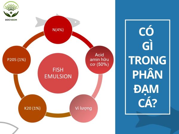 Thành phần có trong phân đạm cá