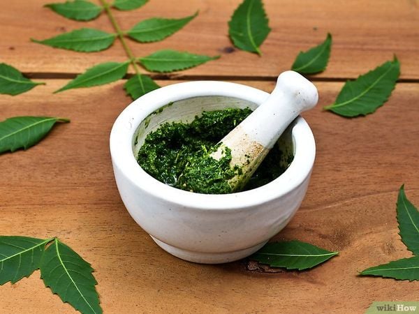 bột lá neem, dầu neem dưỡng da, bột lá neem trị mụn, mặt nạ bột lá neem